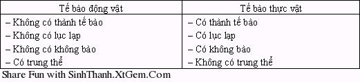 Tế bào nhân thực