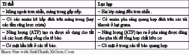 Tế bào nhân thực