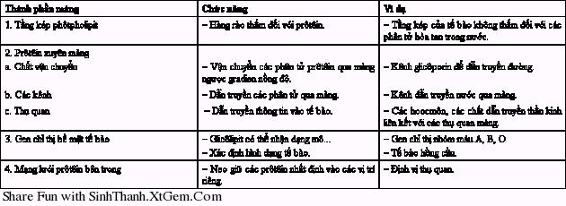 Tế bào nhân thực